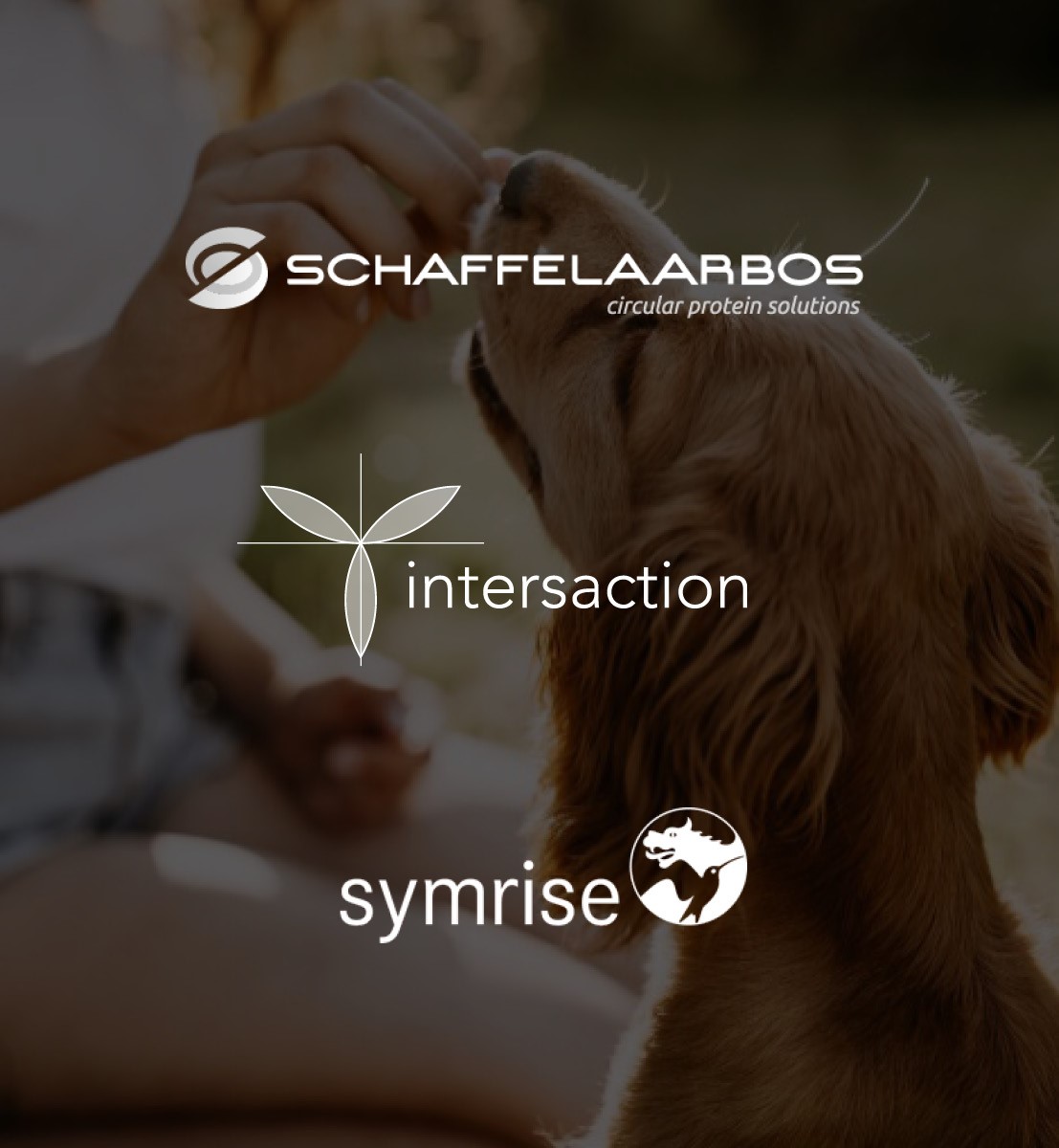 DEX international M&A advised Intersaction and management on the sale of Schaffelaarbos B.V. to Symrise AG.