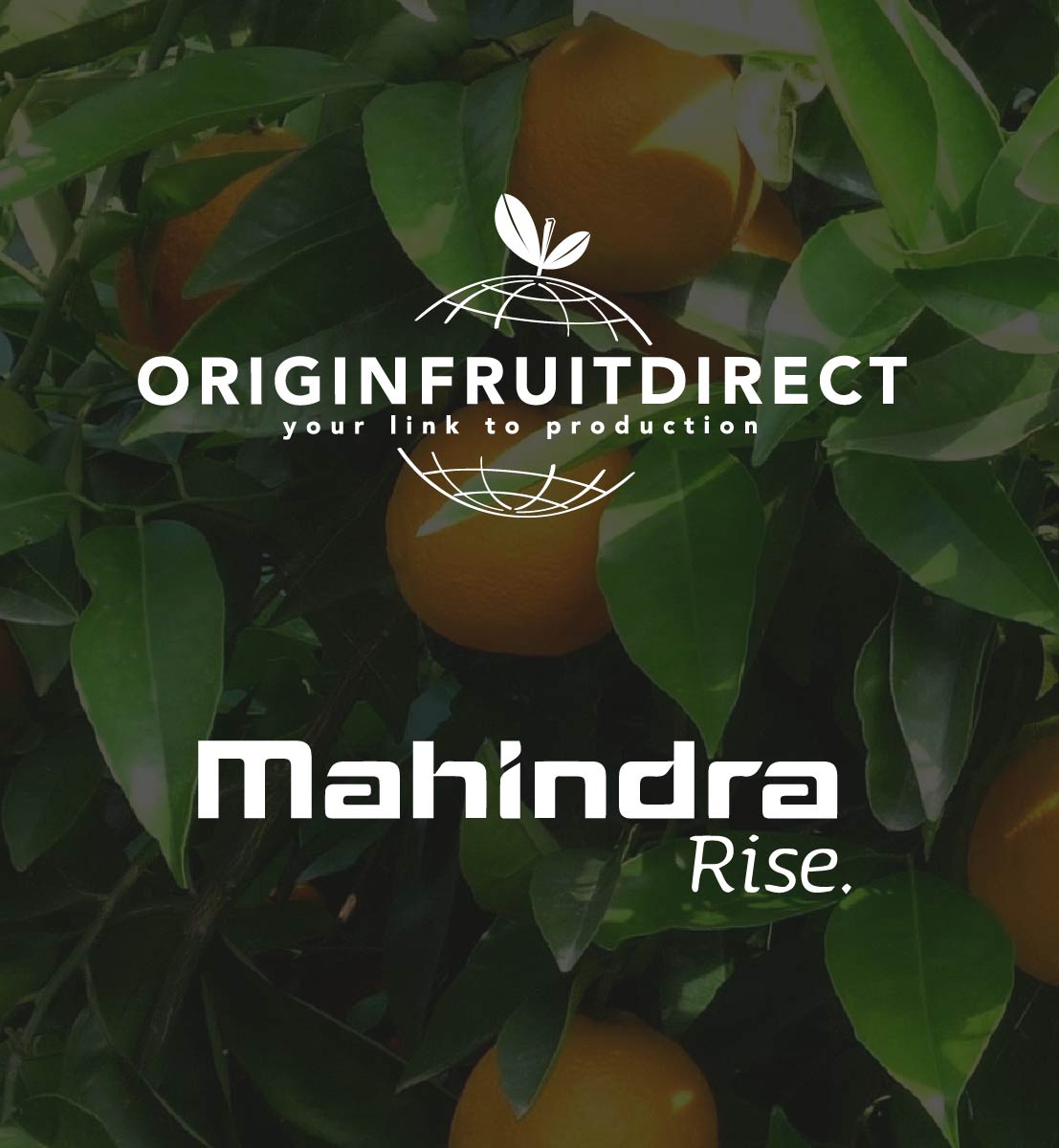 DEX international M&A advised Origin Fruit Direct in the management buy-out from Mahindra
