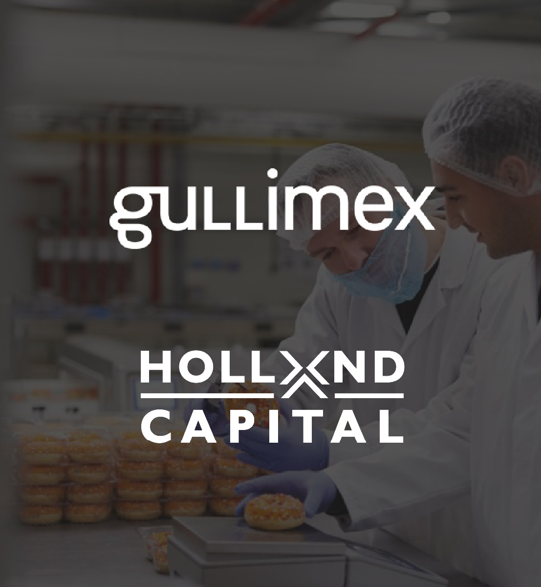 DEX international M&A advised on the sale of Gulimex to Holland Capital